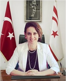 Maliye İşleriyle Görevli Bakanlığın Müsteşarı veya Genel Koordinatörü